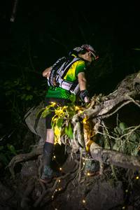 BIB: 
                            <button type="button" onclick="openModal(13637648)" class="btn btn-primary btn-sm float-right btn-popup" data-toggle="modal" data-target=".modal-high-quality">
                        <i class="fas fa-shopping-cart"></i> Add to Cart
                    </button>
                                            <button type="button" onclick="isThisMe(13637648, true)" class="btn btn-success btn-sm float-right btn-popup btn-isme hidden" data-toggle="tooltip" data-placement="bottom" title="นี่คือรูปของคุณใช่ไหม คลิกที่นี่เพื่อเอาเข้าอัลบั้ม">
                        <i class="fas fa-plus"></i> Add to album
                    </button>
                    <button type="button" onclick="isThisMe(13637648, false)" class="btn btn-warning btn-sm float-right btn-popup btn-isnotme hidden">
                        <i class="fas fa-ban"></i> Remove from album
                    </button>